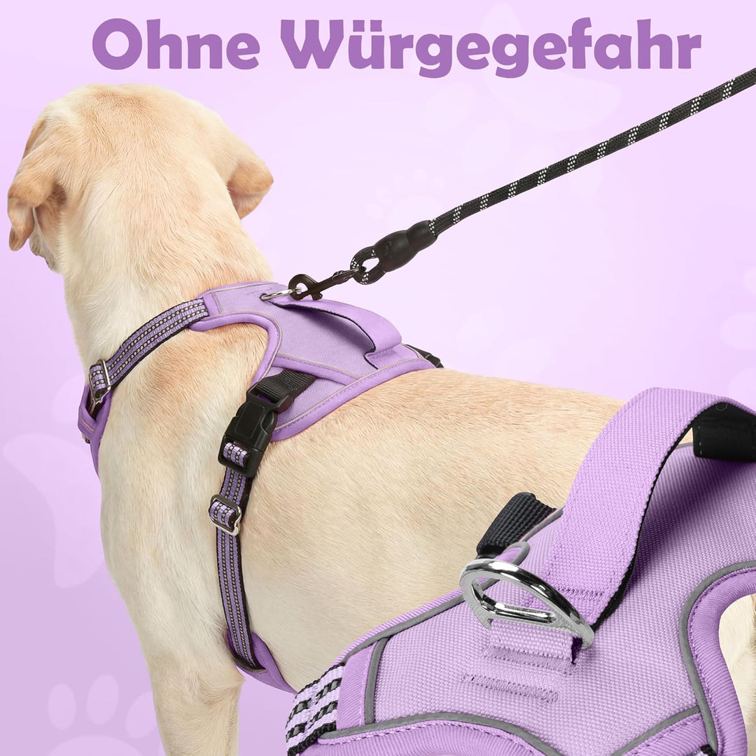 Funfox Hundegeschirr Mittelgrosse Hunde [M] - Verstellbares Anti-Zug Brustgeschirr mit Griff & Refle