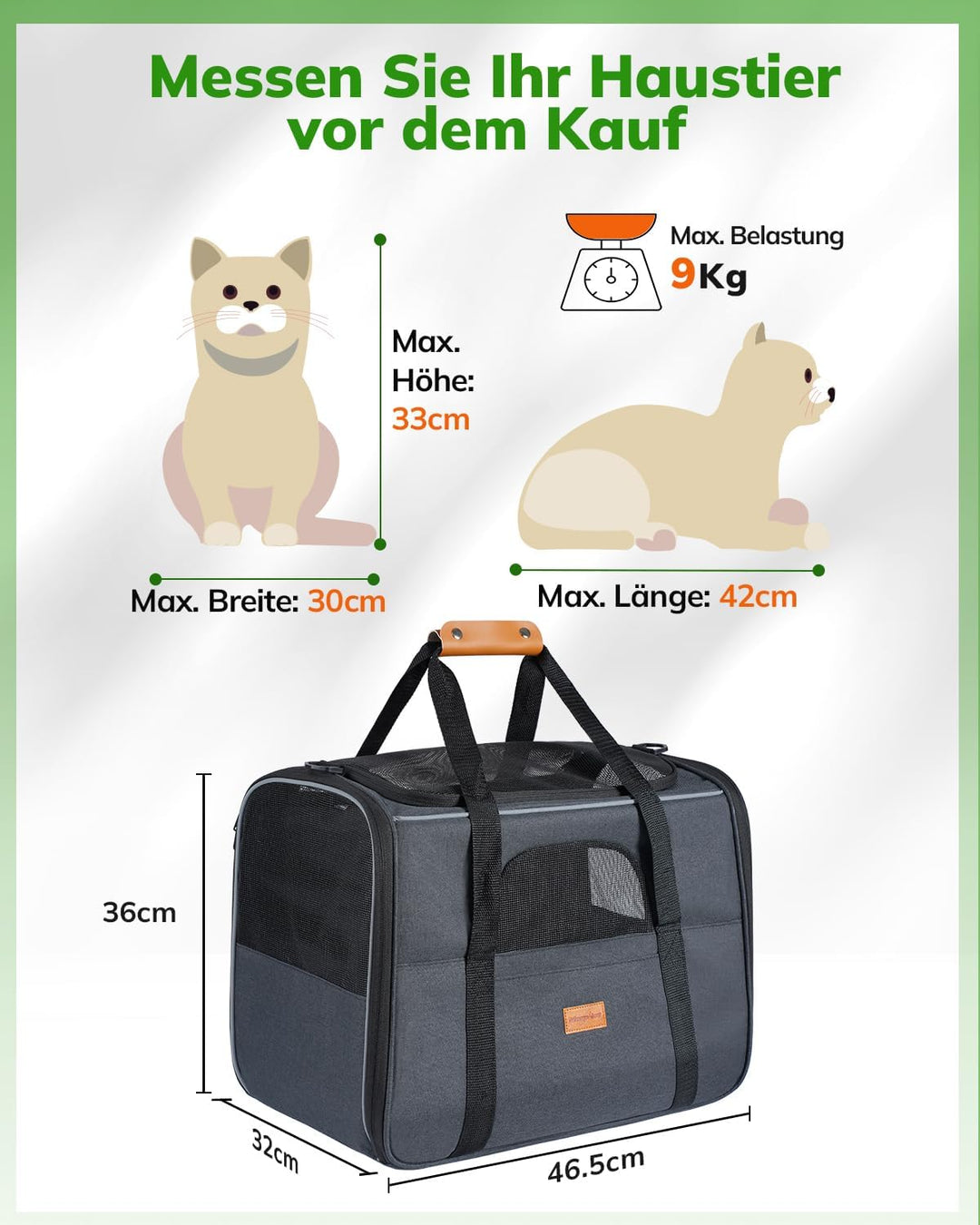 Morpilot Katzentransportbox für grosse Katzen und Welpen bis 7kg, Katzenbox Hundetasche mit Sicherhe