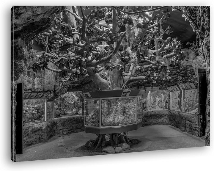 deyoli Bezauberndes Aquarium mit Fischen Effekt: Schwarz/Weiss im Format: 80x60 als Leinwandbild, Mo