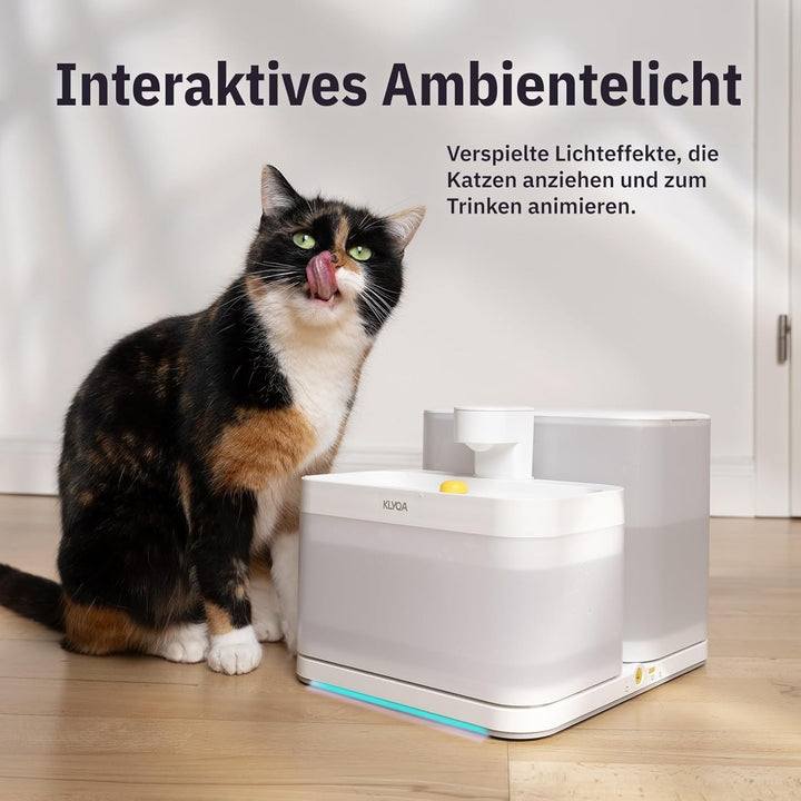 Klyqa Welly Gelber Trinkbrunnen für Katzen&amp;kleine Hunde I Frisch- &amp; Schmutzwasser getrennt Dank Zwei