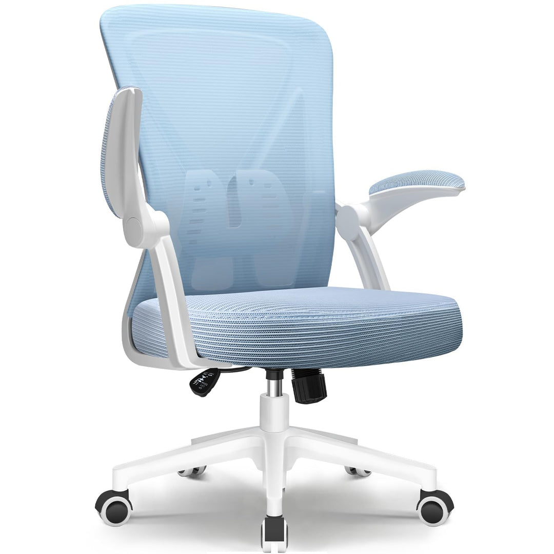 Hinonde Bürostuhl, Ergonomischer Schreibtischstuhl mit Lendenwirbelstütze, Bürostuhl Ergonomisch Tes