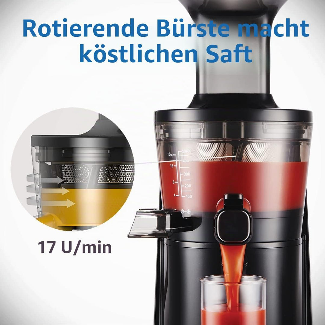 DAHLERT X HUROM | Slow Juicer | Entsafter Gemüse und Obst | DT-SJ-21 | Leiser Motor | Hohe Saftausbe