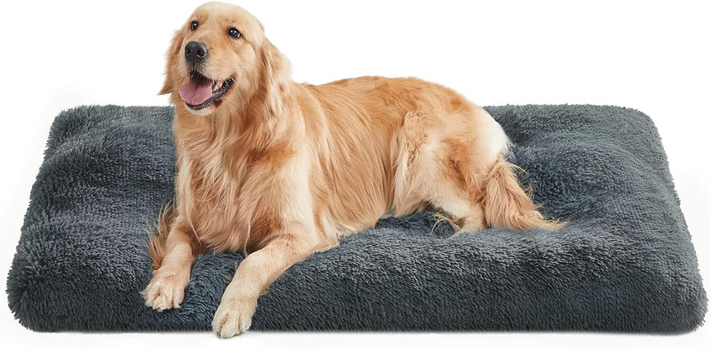 Feandrea Hundebett, Hundekissen, Flauschige Hundematte, Langer Plüsch, 122 x 74 cm, weiche Polsterun