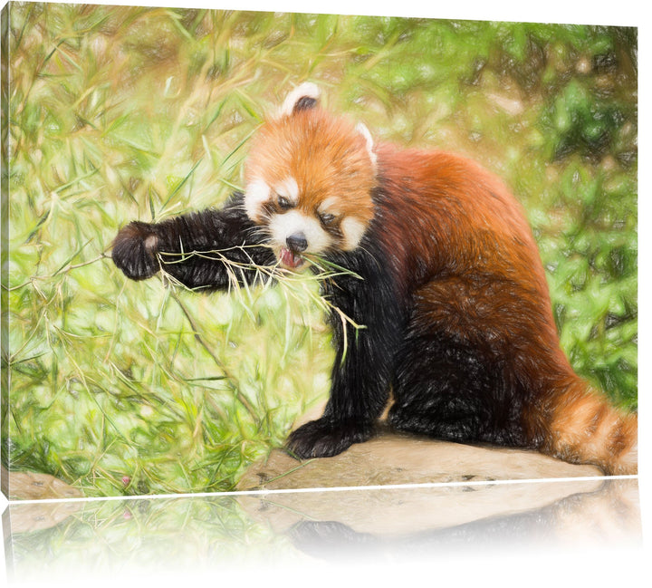 Pixxprint Niedlicher roter Panda als Leinwandbild/Grösse: 100x70 cm/Wandbild/Kunstdruck/fertig bespa