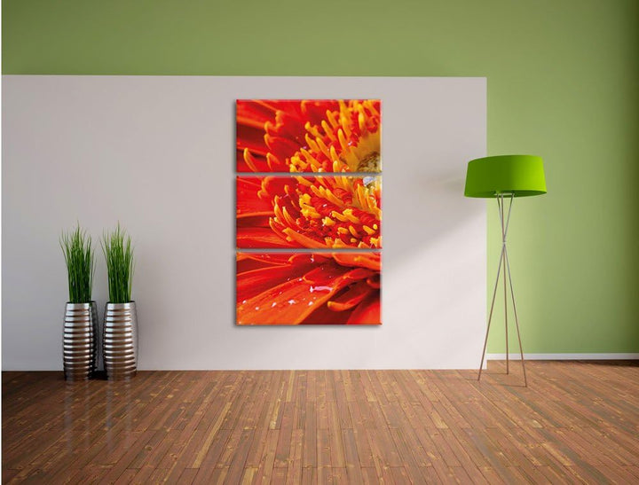 Pixxprint Gerbera mit Wassertropfen / 3-Teilig/Gesamtmass 120cm Leinwandbild bespannt auf Holzrahmen