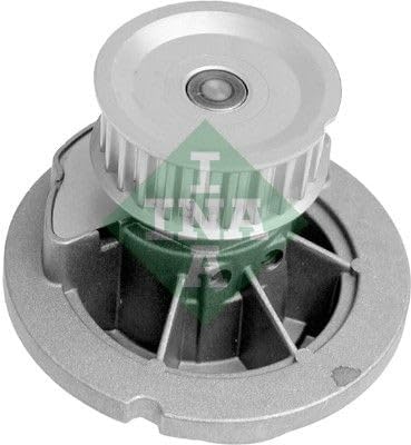 INA 530 0441 30 Wasserpumpe + Zahnriemensatz