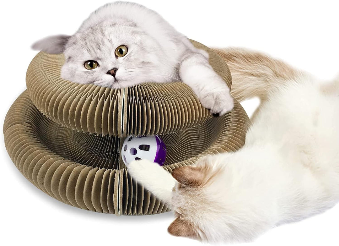 Katzen Kratzbrett,Magic Organ Cat Scratching Board, 2-in-1 Cat Kratzbrett mit Glöckchen, Foldable Co
