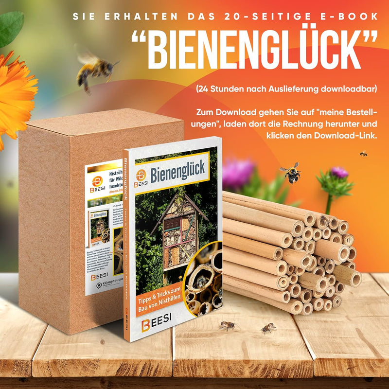 BEESI Bambusröhrchen für Insektenhotel I 14 cm Länge I Bambus für Bienenhotel I Füllmaterial Wildbie