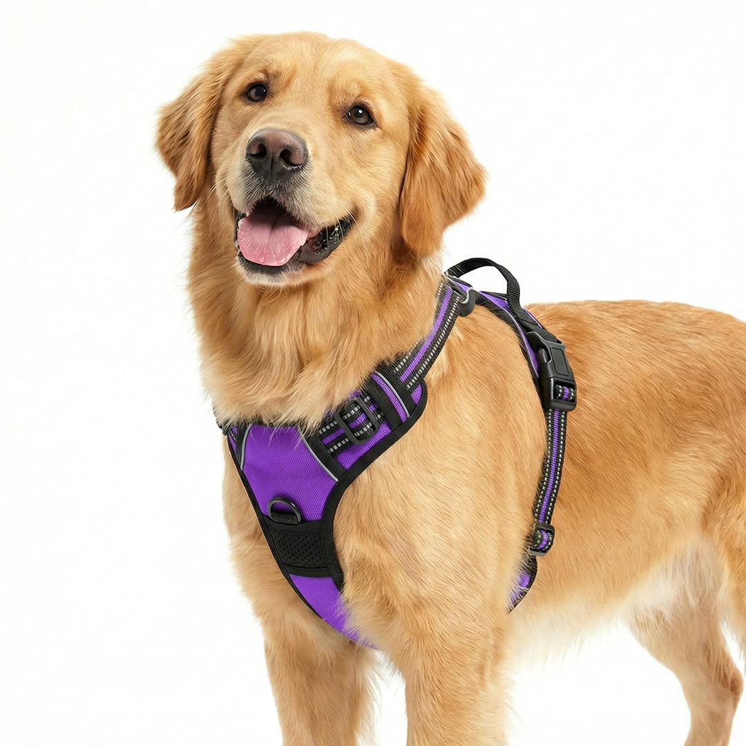 Funfox Hundegeschirr Mittelgrosse Hunde, Anti Zug Brustgeschirr Verstellbares Geschirr Hund, Antizie