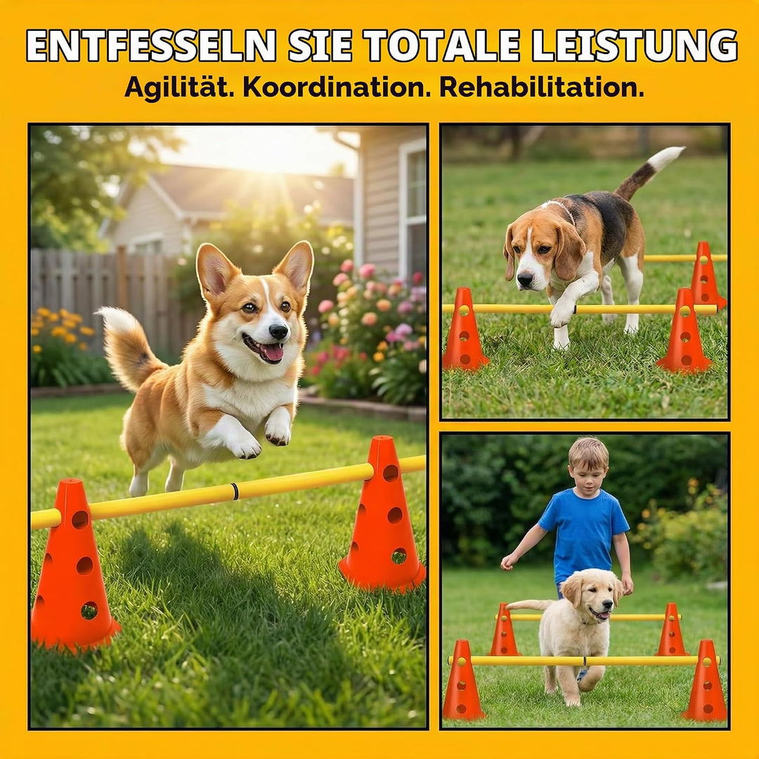 5er Sports Steckhürdenset Cavaletti Agility Set Hunde Hürden Steckhürdenset 10 Kegel 23cm + 5 Stange