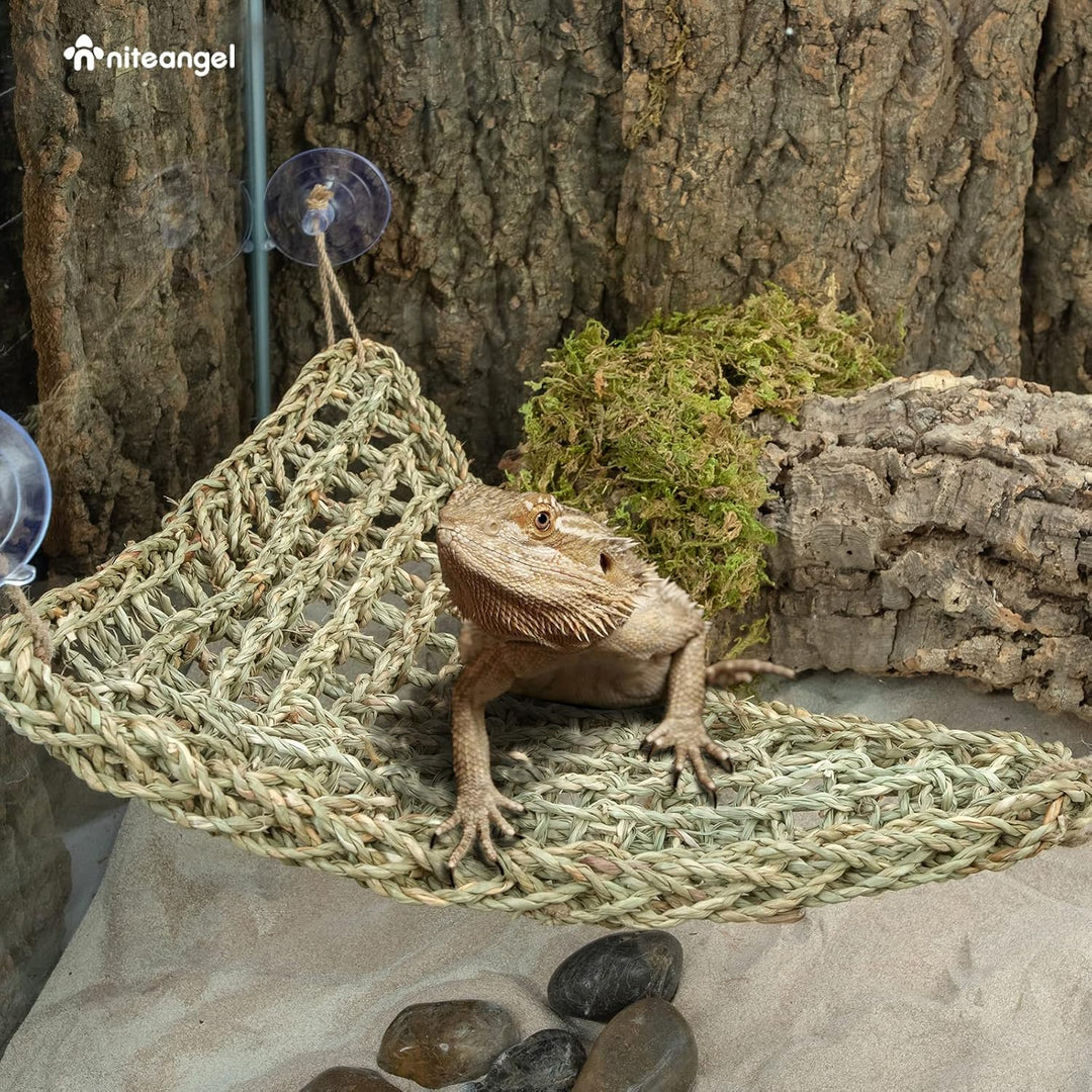 Niteangel Hängematte für Bartagamen: Liegeplatz für Chamäleons, Eidechsen, Geckos, Schlangen, Leguan