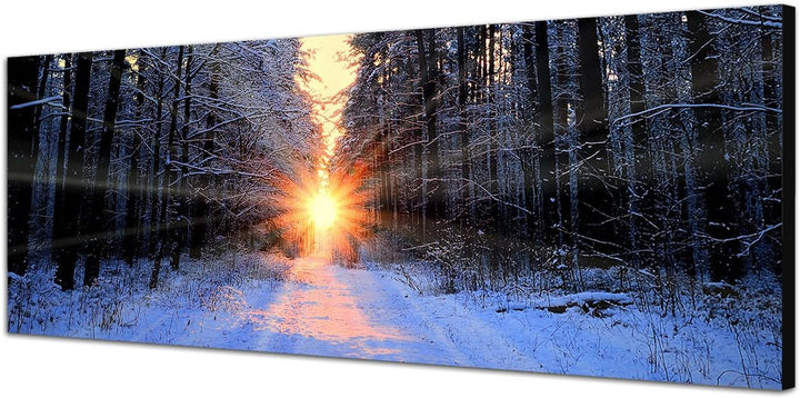 Paul Sinus Art Panoramabild auf Leinwand und Keilrahmen 150x50cm Wald Bäume Winter Schnee Sonnenaufg