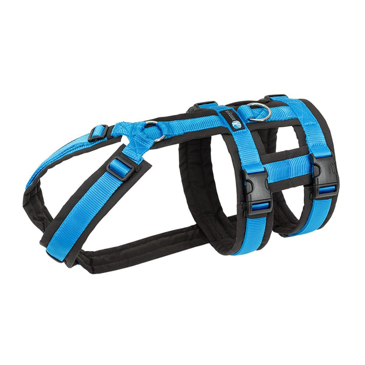 Anny-X Brustgeschirr Safety Fun Schwarz-Blau | Ausbruchsicheres Hundegeschirr mit Taillengurt | Grös