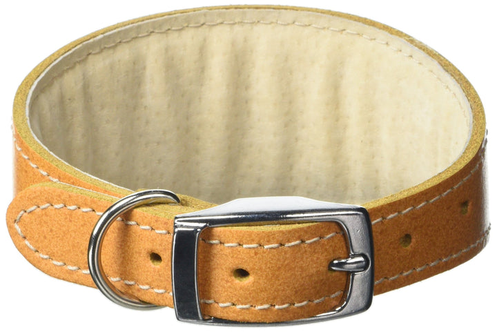 BBD Pet Products Whippet-Halsband, Einheitsgrösse, 1,9 x 25,4 bis 30,5 cm, Hellbraun