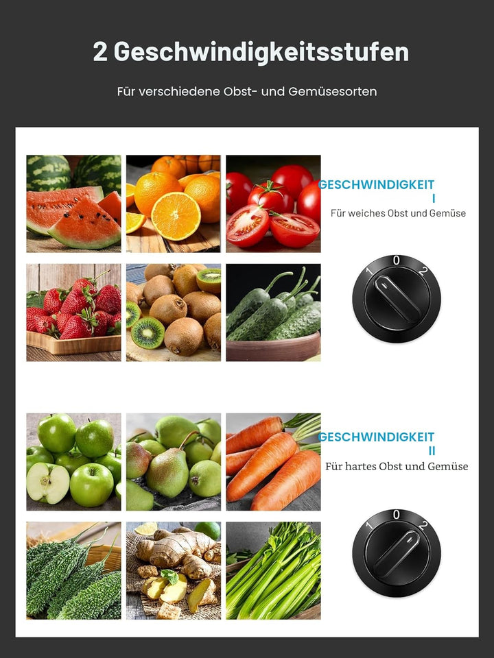 Reemix Entsafter für Obst und Gemüse aus Edelstahl, 800W Zentrifugal Entsafter 2 Geschwindigkeiten u