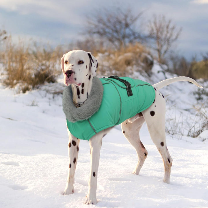 Lelepet Hundemantel Winterweste Reflektierende Fleece Hundejacke für Grosse Hunde Wasserdicht Hundej