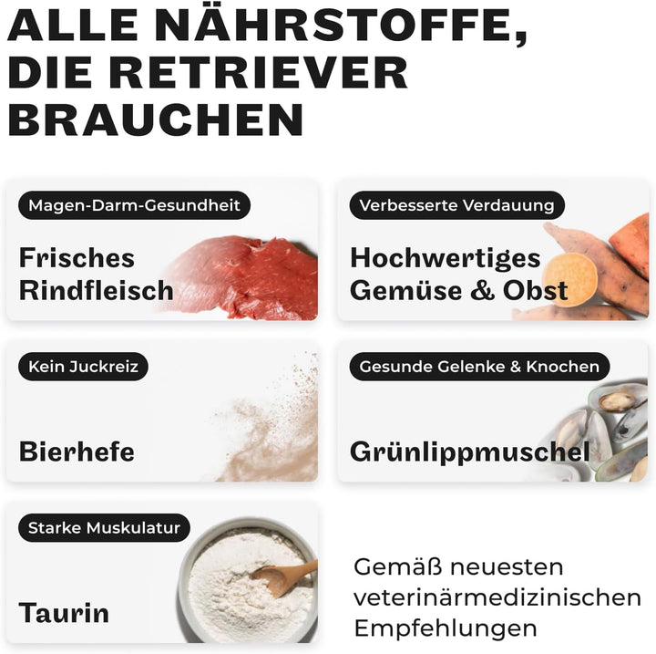 HEY HOLY – Hearty Hunters Trockenfutter für ausgewachsene Hunde mit 40% Rind – 1er Pack (7kg) – Getr