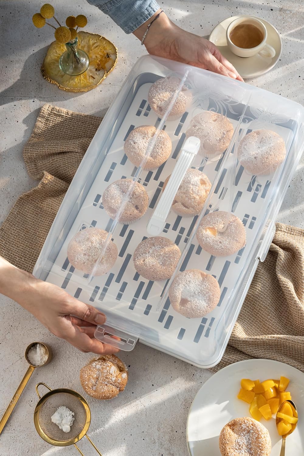 BranQ - Home essential rechteckiger Kuchenbehälter aus Kunststoff (PP), mit hoher Abdeckung, praktis