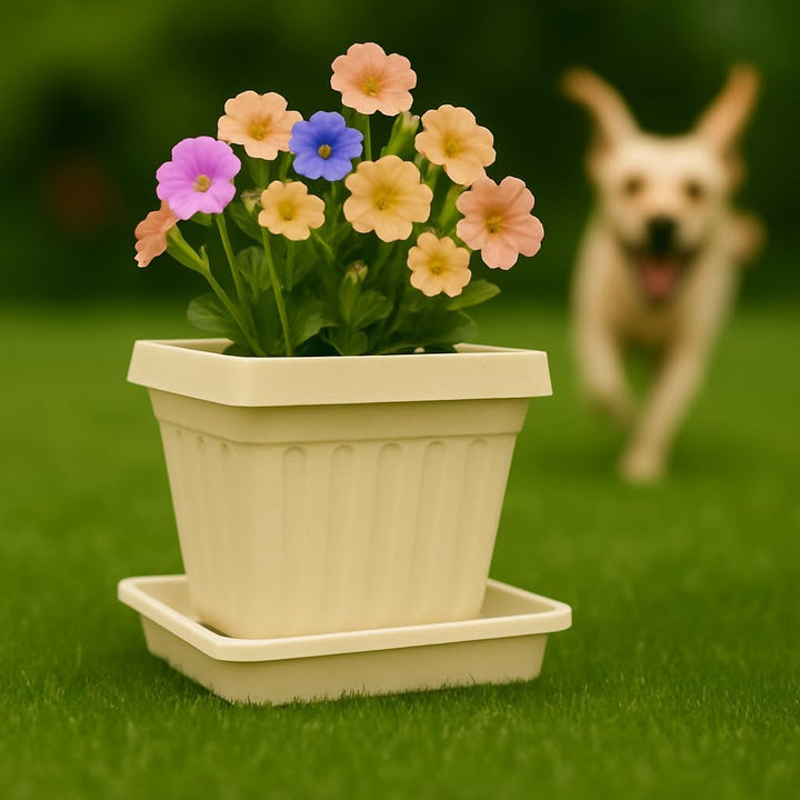 Home Garden Ornaments Untersetzer Blumentopf Eckig Beige 29x29cm Set of 5 – Dauerhaft Blumentopf Unt