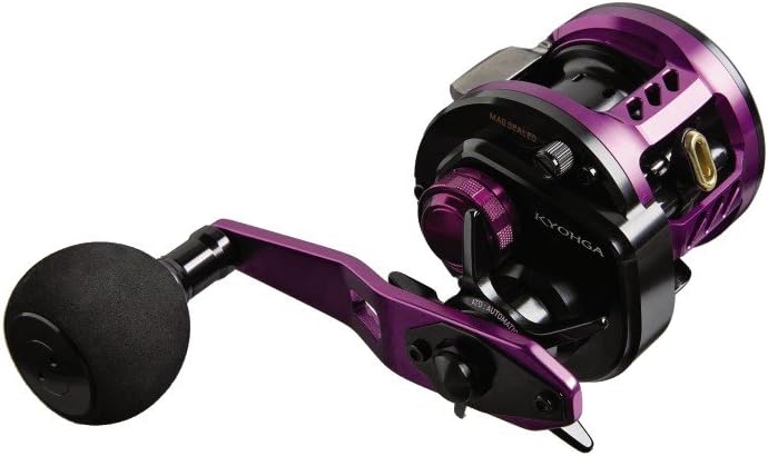 Nein Daiwa Kyohga 100SHL Baitcastrolle Multirolle Bay Jigging Rolle