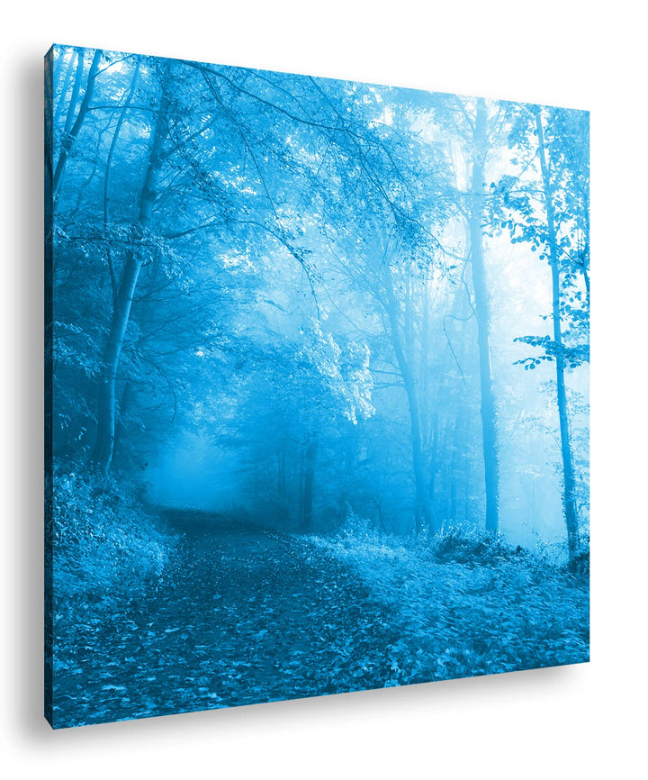 deyoli vernebelter Waldweg im Herbst Format: 70x70 Effekt: Monocrome Blau als Leinwandbild, Motiv fe