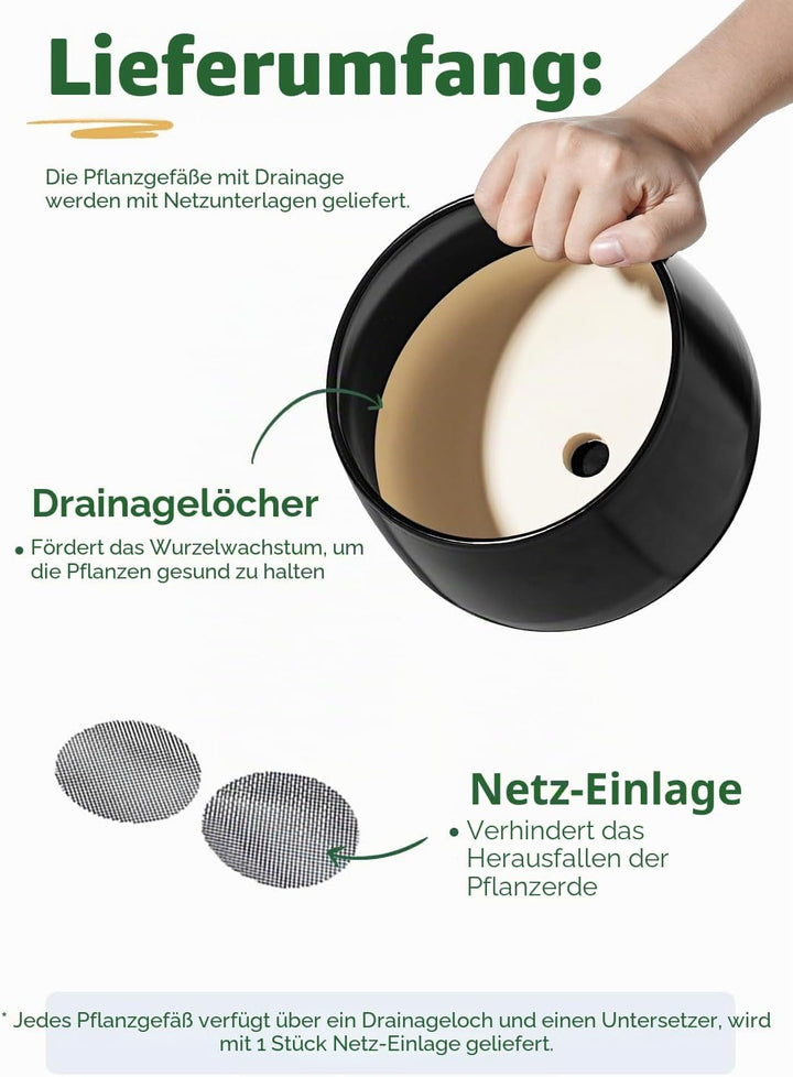 LE TAUCI 3 er Pack Übertöpfe Keramik, 10+13+16 cm Durchmesser Klein Töpfe Set, Blumentopf für Zimmer