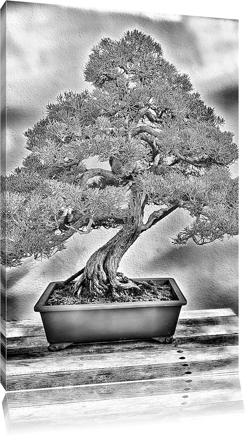 Monocrome, Bonsai Baum, Format: 100x70 auf Leinwand, XXL riesige Bilder fertig gerahmt mit Keilrahme