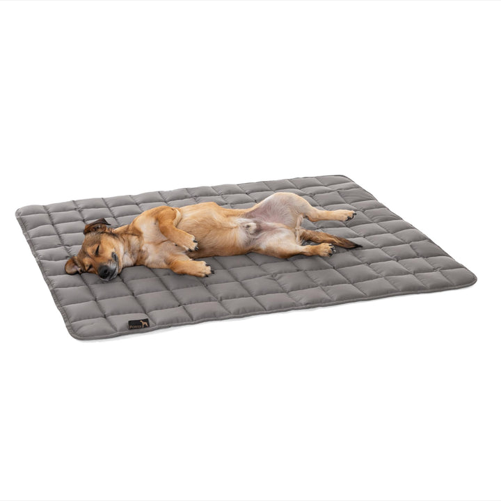 Doctor Bark Pointer | Hundedecke, gepolsterte Liegedecke, Hundematte waschbar (M - 80x60 cm, Hellgra