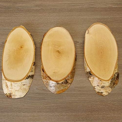 3 Stück Birke Schilder Trophäenschilder REH Rehbock Geweih Baumscheibe Baumschild Natur Holz modern
