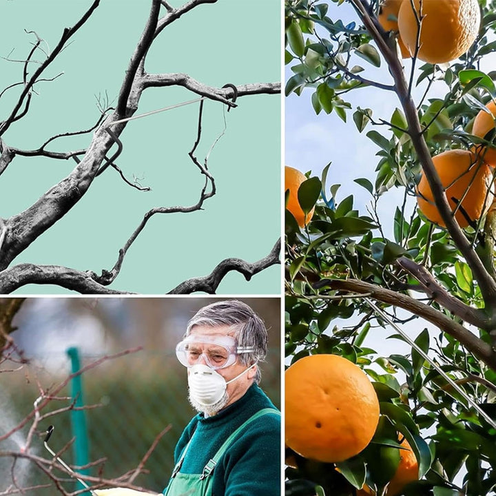 Astspreizer für Obstbäume | Metall-Stützspanner, wetterbeständig,Obstbaum Aststütze Und Astbieger -