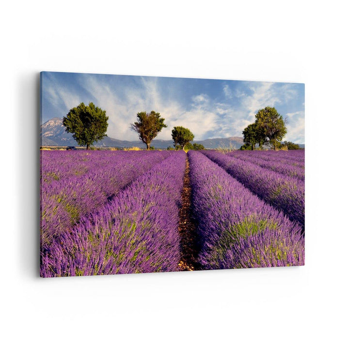 Bilder auf Leinwand 100x70cm Leinwandbild Landschaft Wiese Pflanzen Gross Wanddeko Bild Schlafzimmer