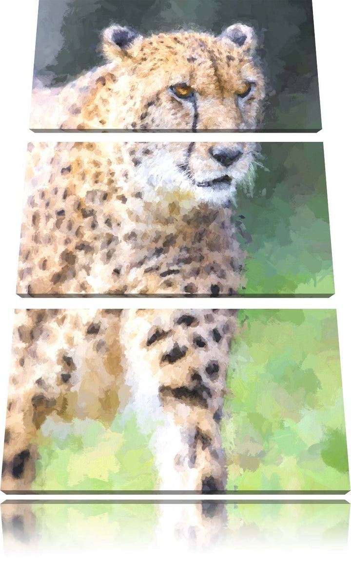 lauernder Gepard auf Wiese Spezial 3-Teiler Leinwandbild 120x80 Bild auf Leinwand, XXL riesige Bilde