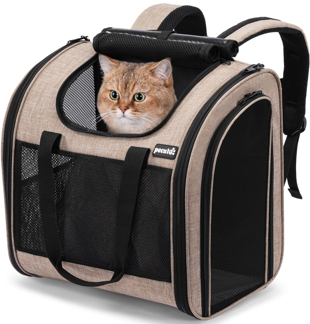 pecute Rucksack Hunde & Kleine Katzen 5kg, Katzentrage, Haustier Handtasche und Rucksack, Haustiertr