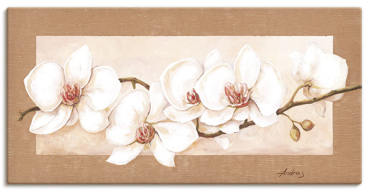 ARTland Leinwandbilder Wandbild Keilrahmenbild 60x30 cm + weitere Grössen Gemälde Blumenbilder Orchi