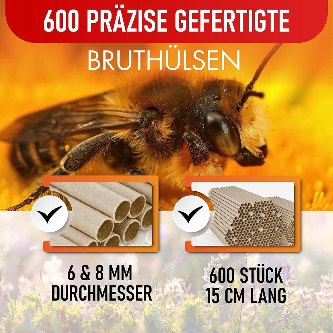 BEESI 600x Nisthülsen für Wildbienen 6 und 8 mm Ø I Wasserabweisend hohe Lebensdauer I Nisthilfe, Zu