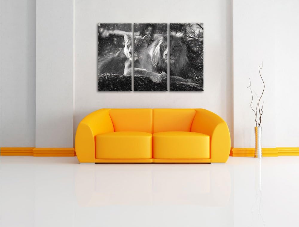Pixxprint interessiertes Löwenpaar Kunst als Leinwandbild/Grösse: 3 Teilig (120x80) / Wandbild/Kunst
