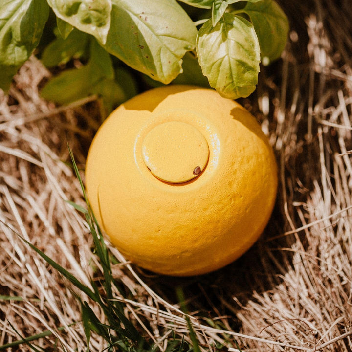 Ollas Lutton Mini Olla Terrakotta zum Pflanzen, 25 cl, automatische und umweltfreundliche Bewässerun