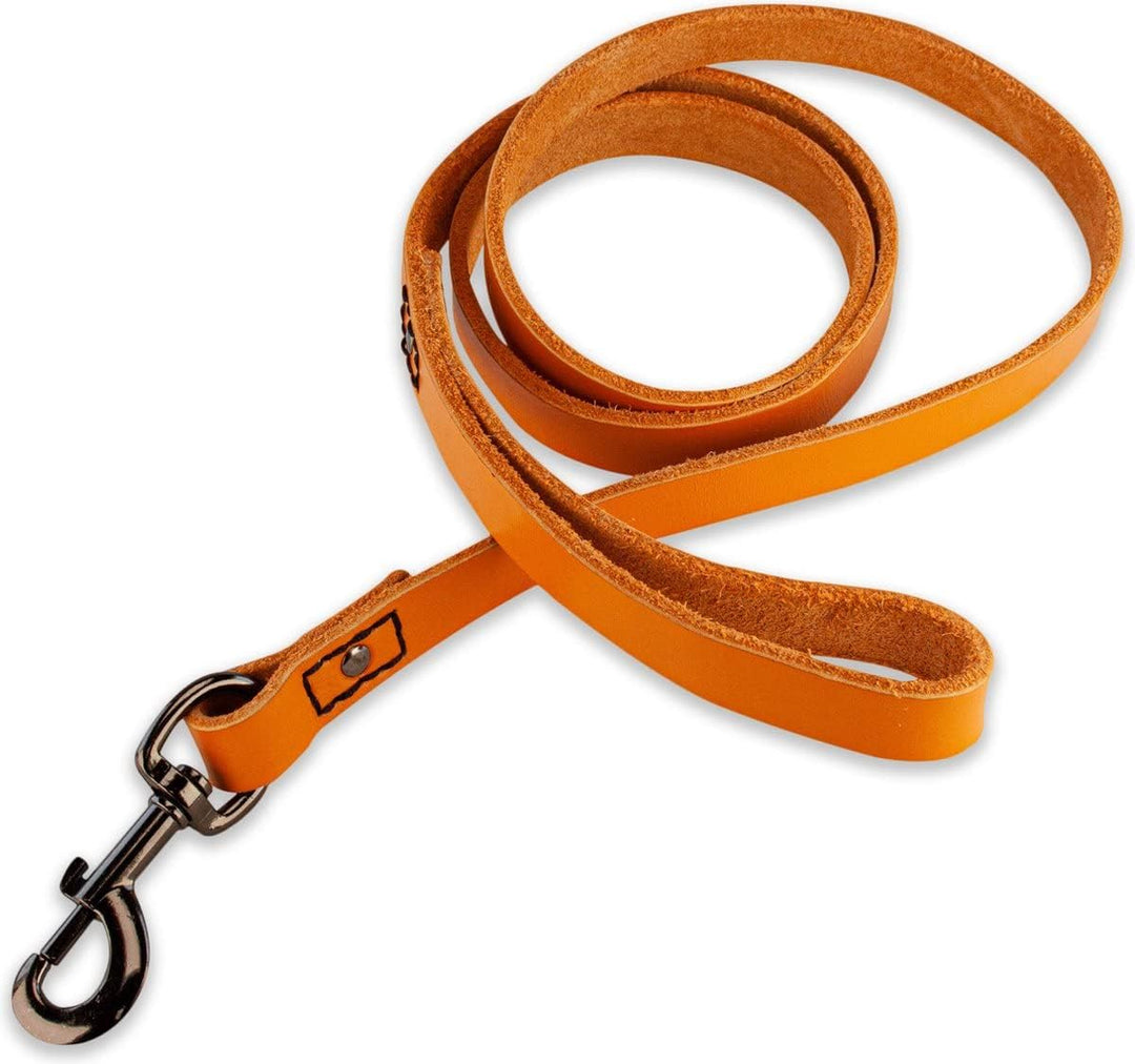 Leder Hundeleine - mit Naht - 220cm - Orange/schwarz Orange/Schwarz 220cm, Orange/Schwarz 220cm