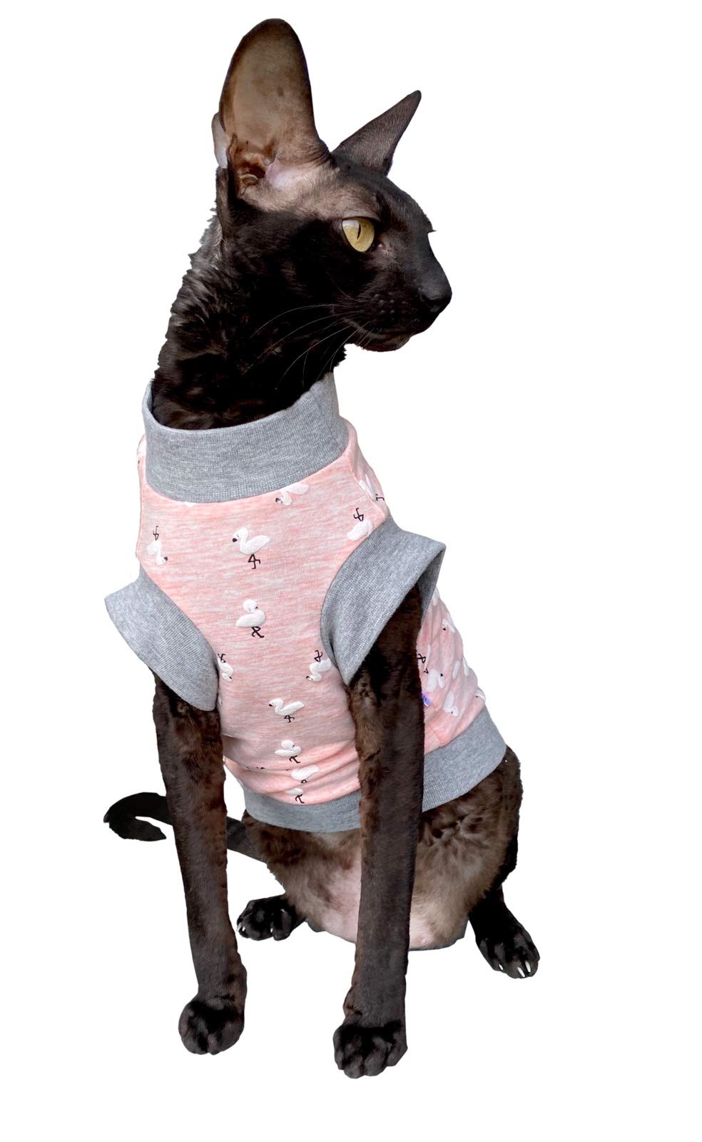 Kotomoda Hairless Cat&