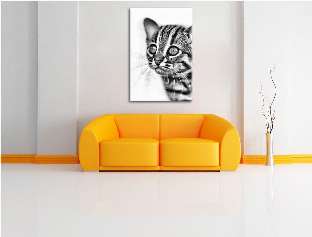 Pixxprint Monocrome, Junge Marmorkatze, Format: 100x70 auf Leinwand, 100x70