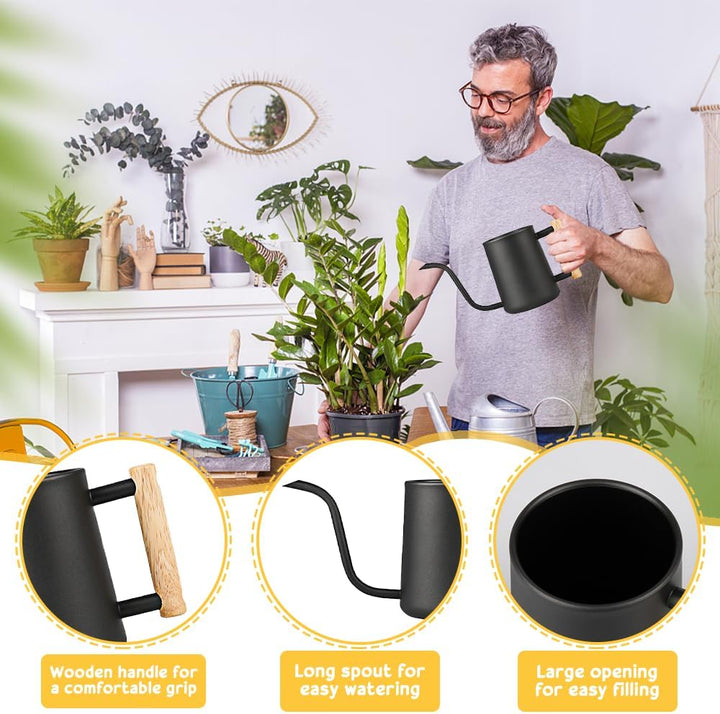 LPAMABA 1L Indoor Giesskanne Edelstahl Giesskanne Klein GiesskanneGiesskanne für Zimmerpflanzen Sukk