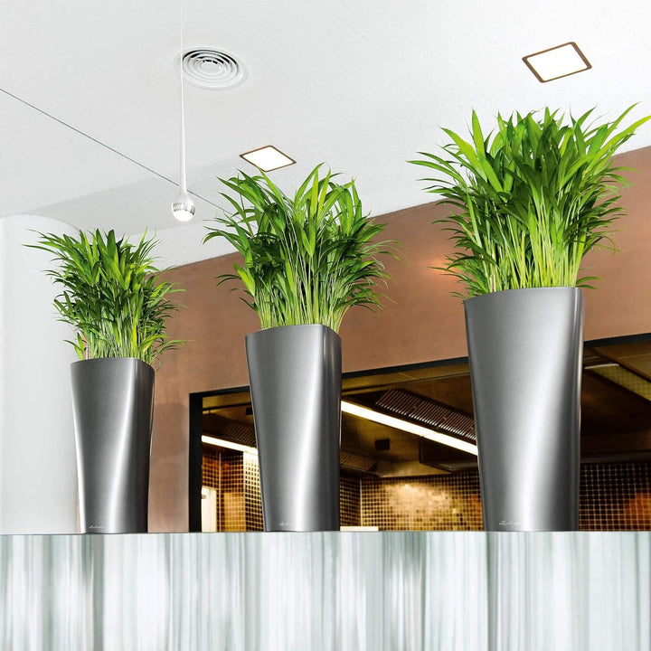 LECHUZA DELTA Premium 30 anthrazit metallic 15503 Anthrazit Metallic 29x29x56.5 cm Single, Anthrazit