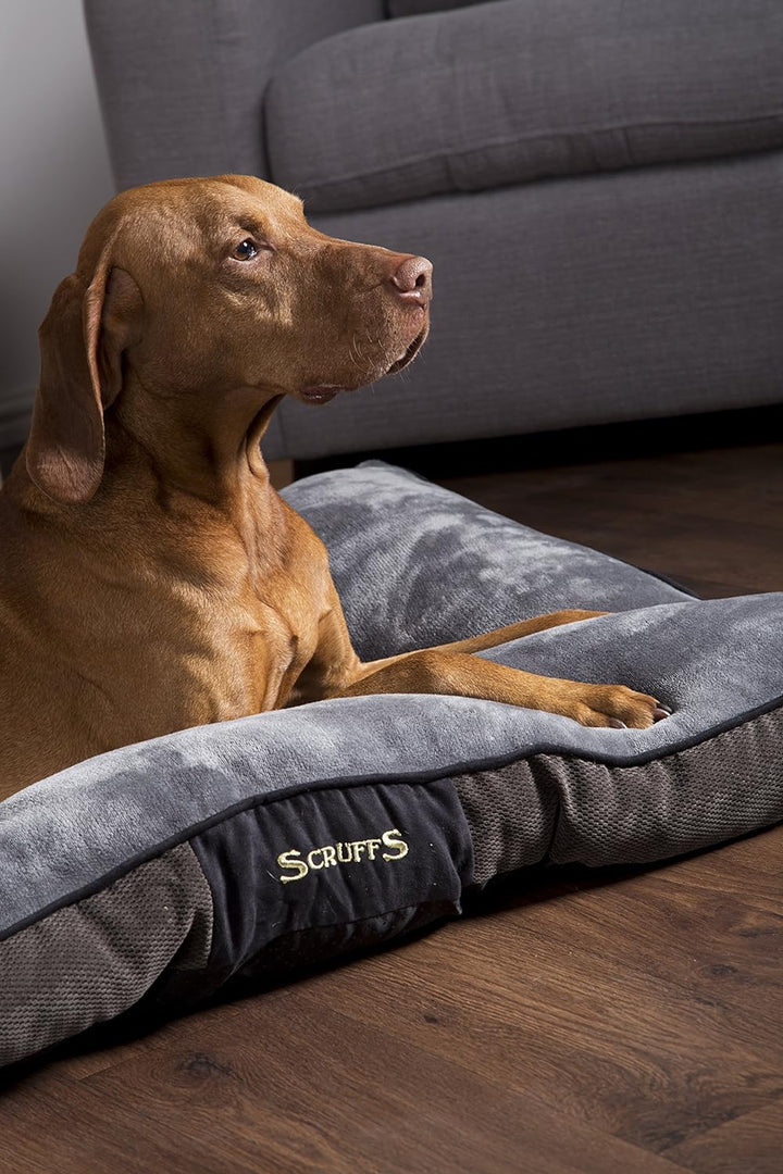 Scruffs 1160 Chester Hunde Kissen, M, grau Grau M 82 x 58 x 6 cm, Grau M 82 x 58 x 6 cm