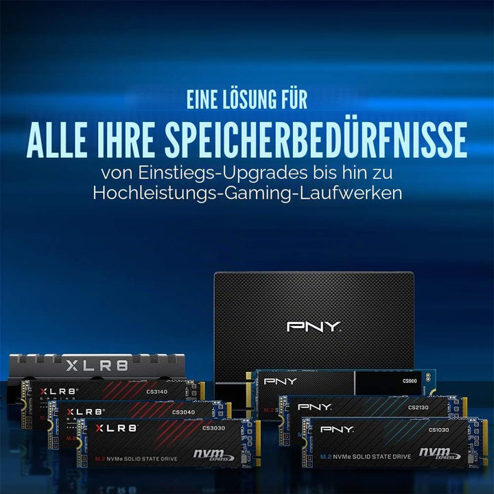 PNY CS1030 250GB M.2 NVMe PCIe Gen3 x4, 2500MB/s Lesegeschwindigkeit, 1100MB/s Schreibgeschwindigkei