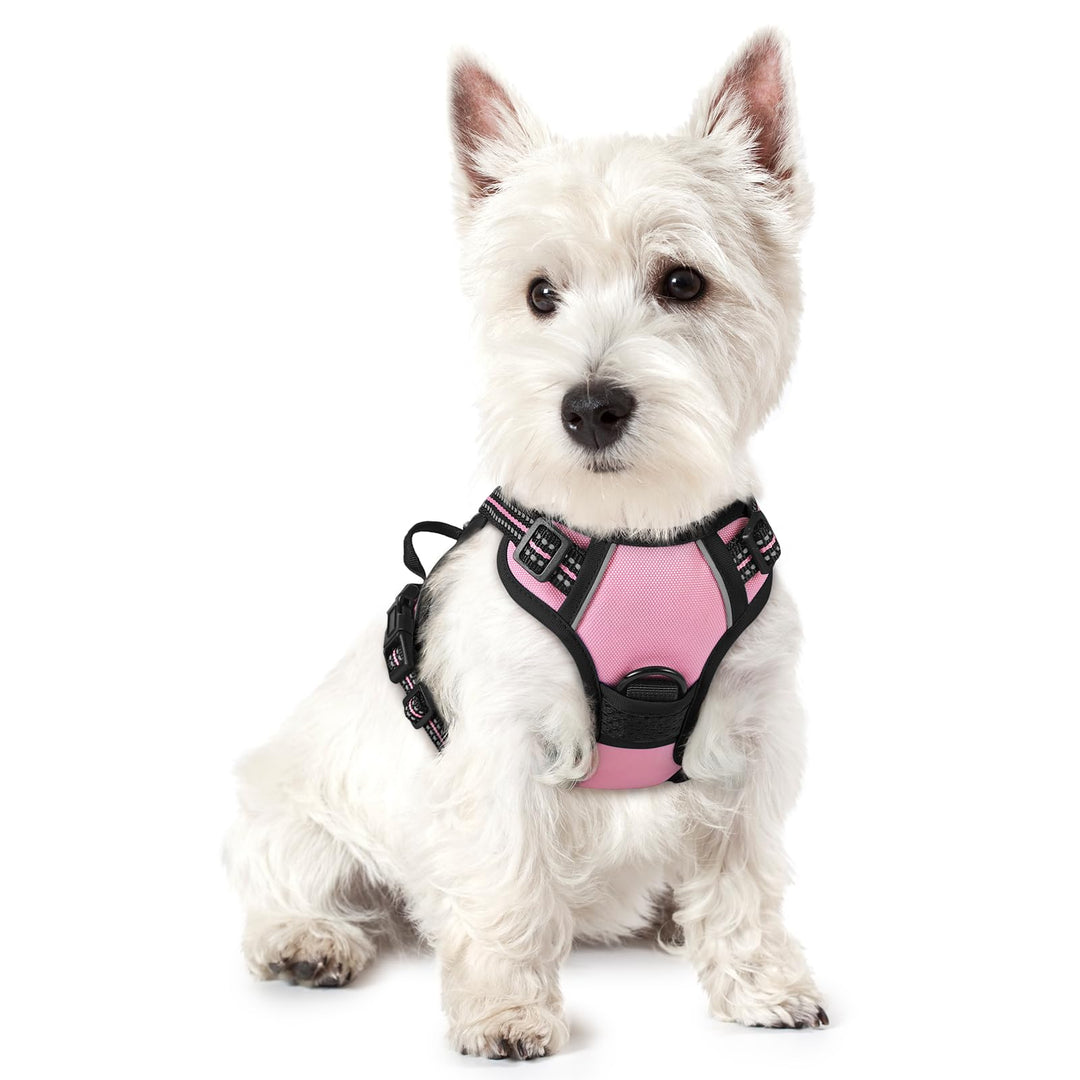 rabbitgoo Hundegeschirr Kleine Hunde Anti Zug Geschirr Hund mit Kontrolle No Pull Verstellbar Hundeg