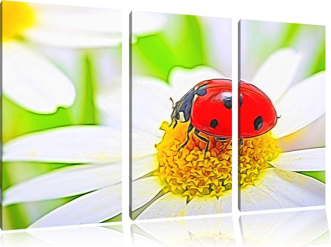 Marienkäfer auf Gänseblümchen Spezial 3-Teiler Leinwandbild 120x80 Bild auf Leinwand, XXL riesige Bi