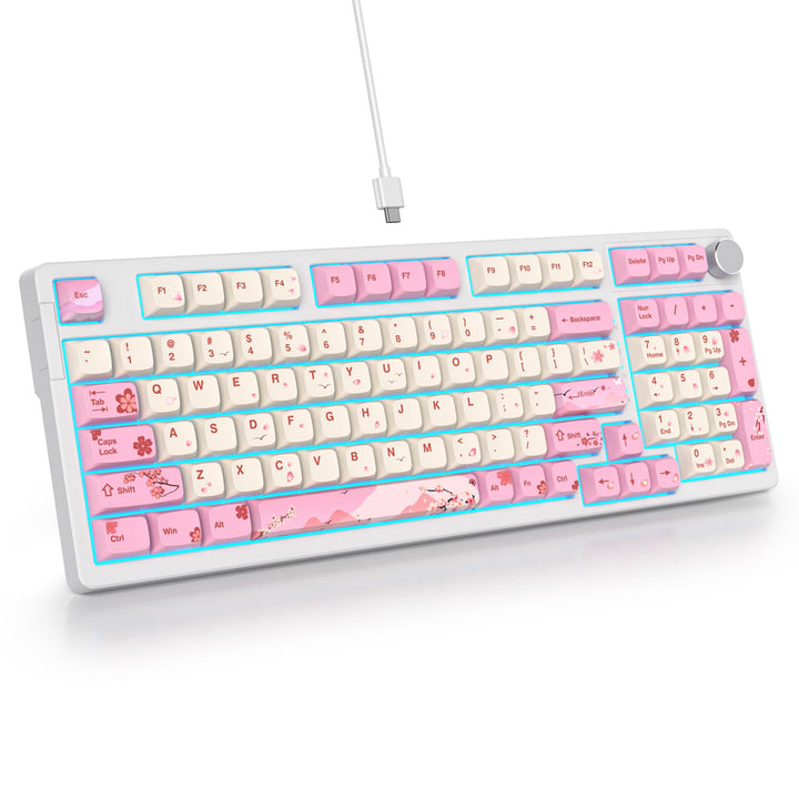 SOLIDEE Verkabelte 95% Mechanische Gaming-Tastatur,Hot-Swap-Fähige Mechanische Tastaturs,Gasket Stru