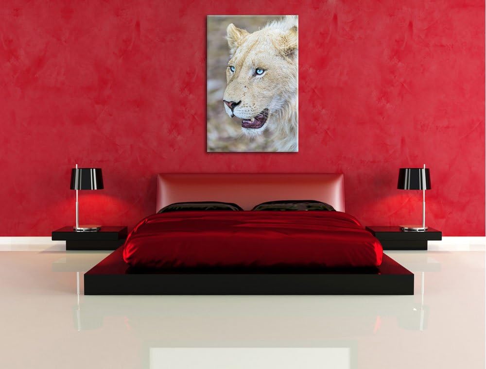 Pixxprint schöne weisse Löwin auf Leinwand, XXL riesige Bilder fertig gerahmt mit Keilrahmen, Kunstd