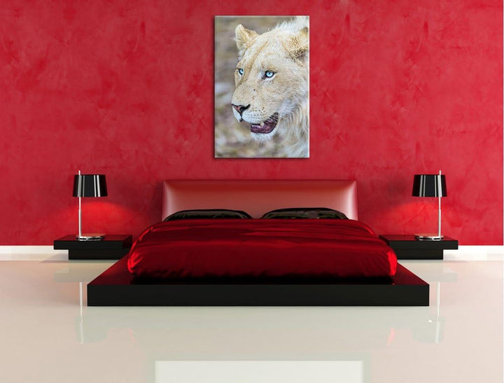 Pixxprint schöne weisse Löwin auf Leinwand, XXL riesige Bilder fertig gerahmt mit Keilrahmen, Kunstd