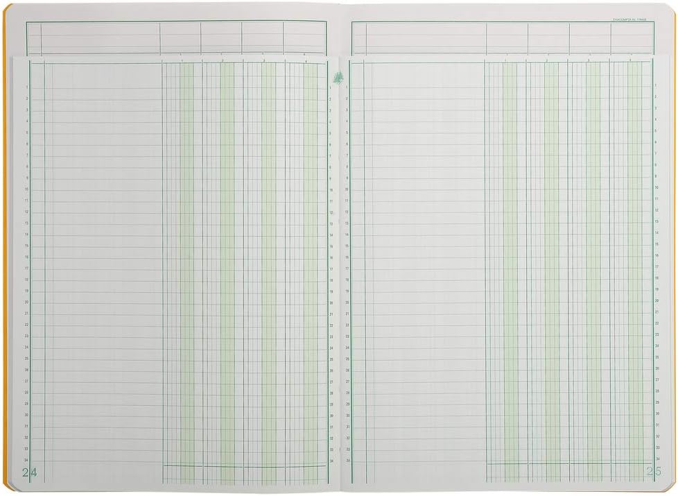 Exacompta 17040E Mehrkolonnenheft (DIN A4, 21 x 29,7 cm, gebunden mit 4 spalten auf 1 Seite und 34 Z